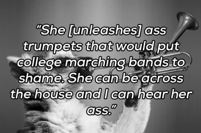 You Will Know Something New After The Wedding (15 pics)
