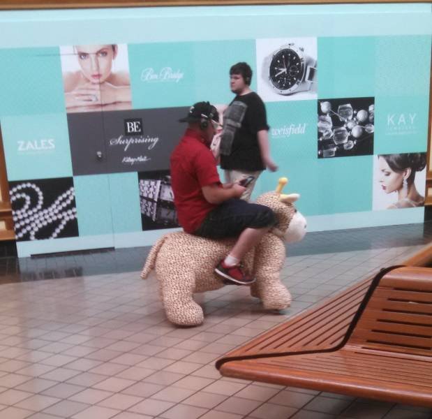 WTF Pictures (43 pics)