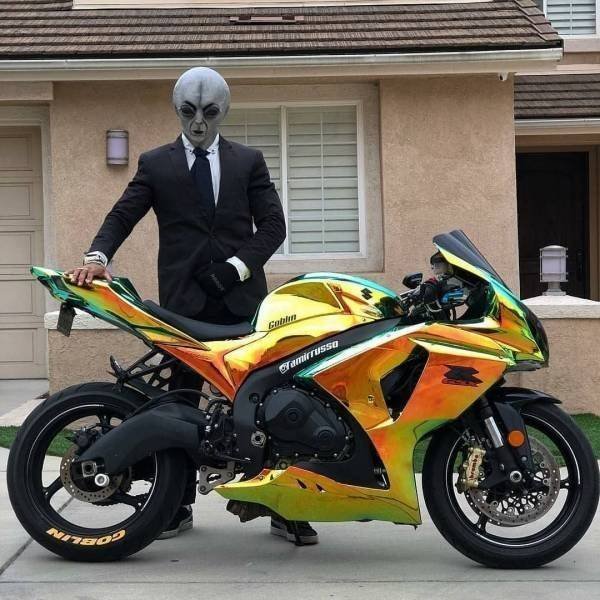 WTF Pictures (43 pics)