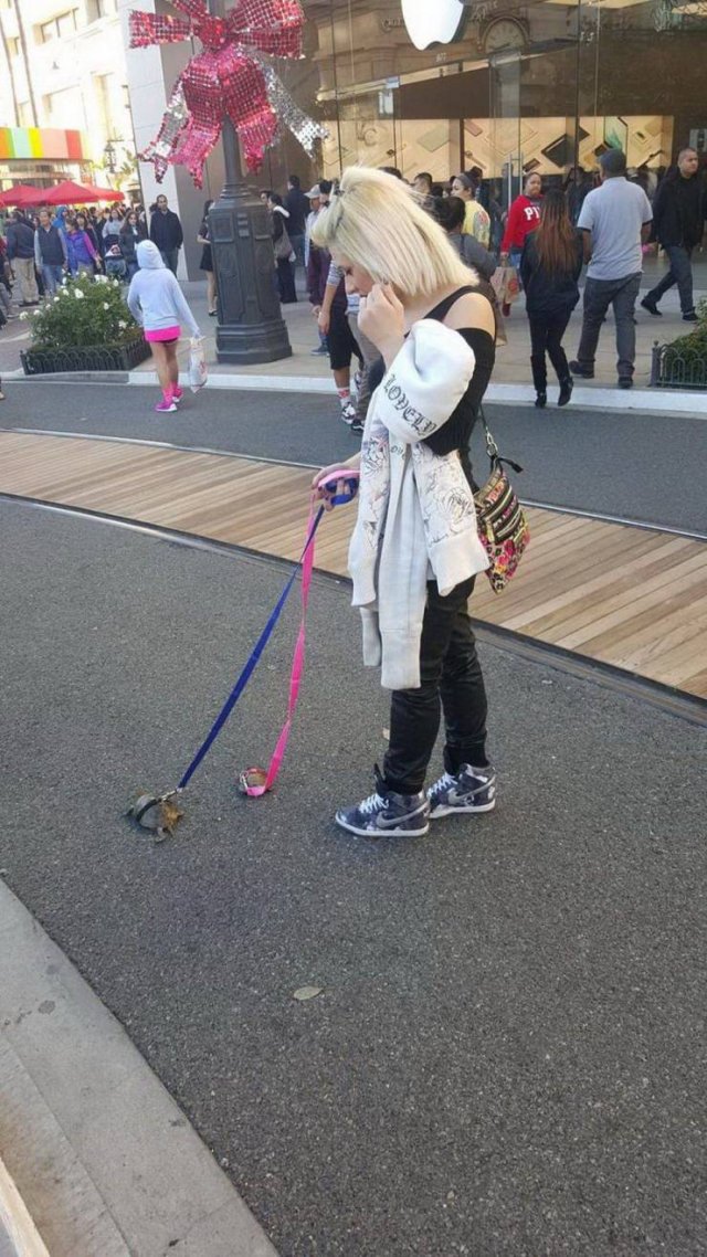 WTF Pictures (43 pics)