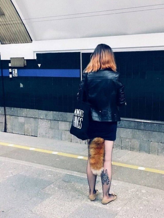 WTF Pictures (43 pics)