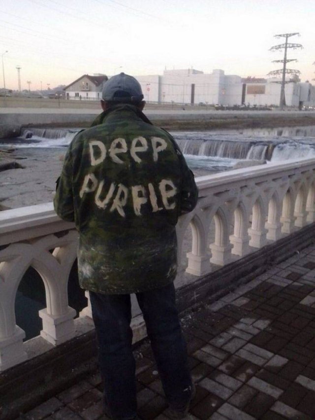 WTF Pictures (43 pics)