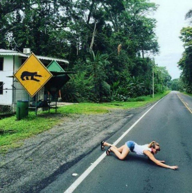 WTF Pictures (43 pics)