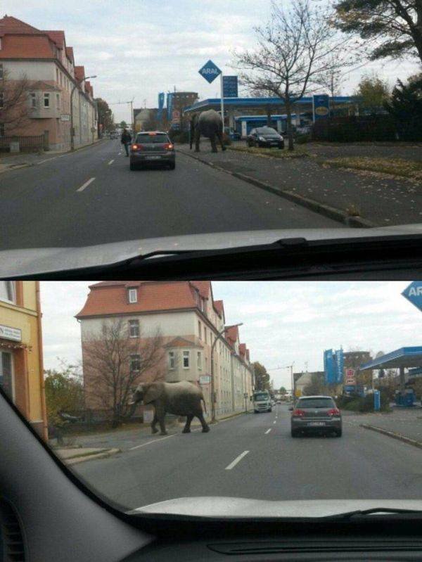 WTF Pictures (43 pics)