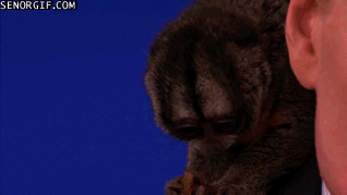 Acid Gifdump, November 21 (25 gifs)