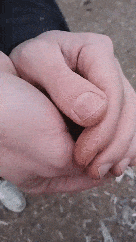Acid Gifdump, November 21 (25 gifs)