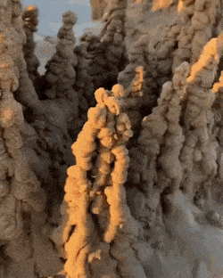 Acid Gifdump, November 21 (25 gifs)