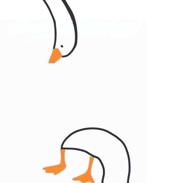 Just Try To Draw A Duck (32 pics)