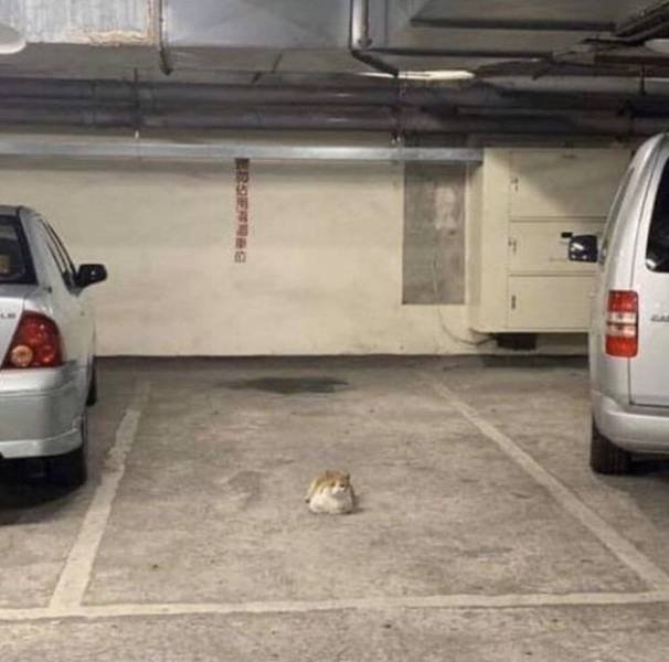 Acid Picdump. Part 1 (78 pics)