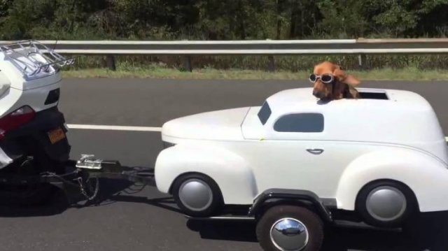 Acid Picdump. Part 1 (78 pics)