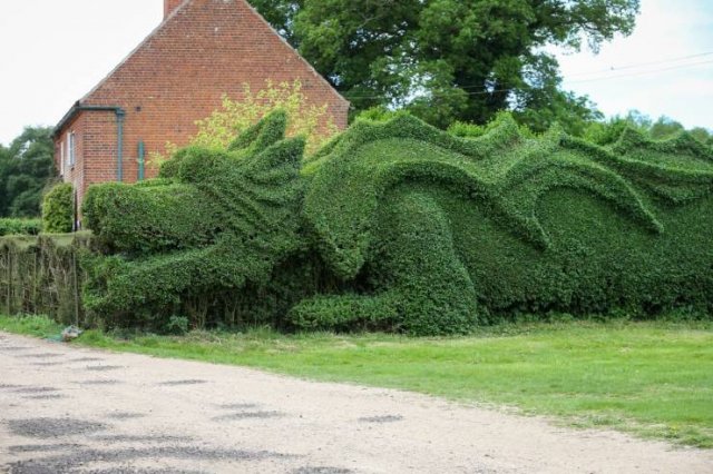 Acid Picdump. Part 1 (78 pics)