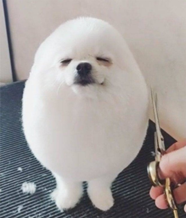Acid Picdump. Part 1 (78 pics)