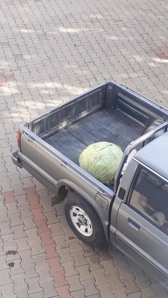Acid Picdump. Part 1 (78 pics)