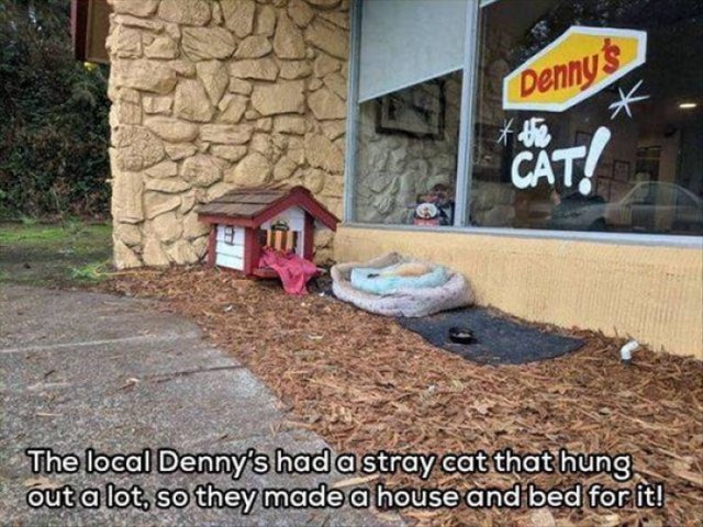 Pictures Full Of Warm Feelings (39 pics)