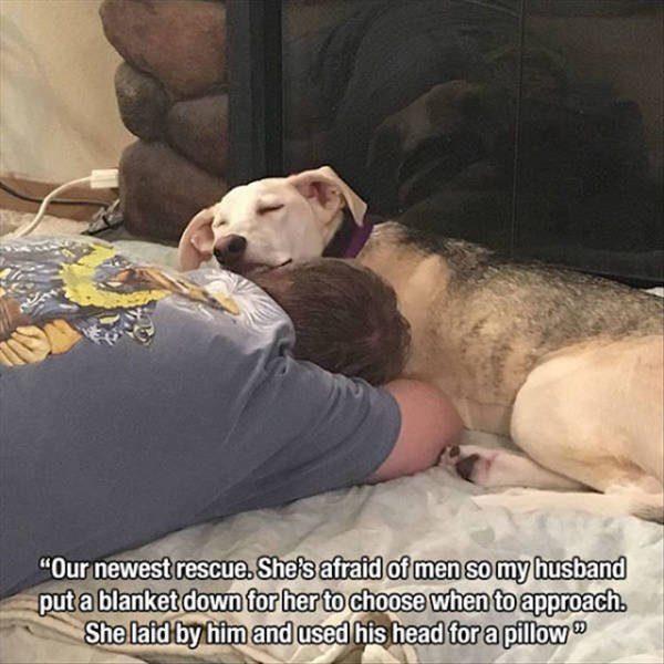 Pictures Full Of Warm Feelings (39 pics)