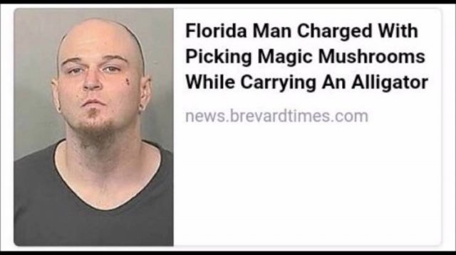 Crazy Florida People (37 pics)