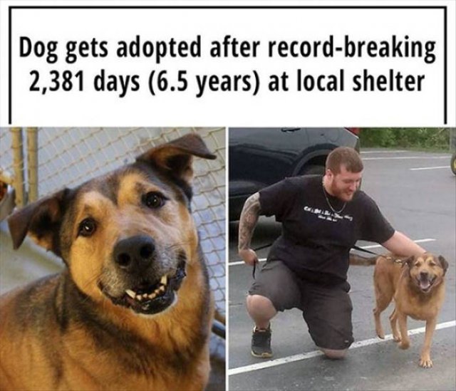 Pictures Full Of Warm Feelings (39 pics)