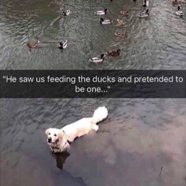 Pictures Full Of Warm Feelings (39 pics)