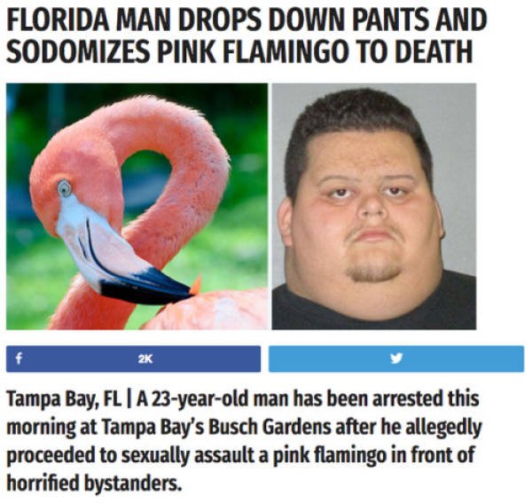 Crazy Florida People (37 pics)