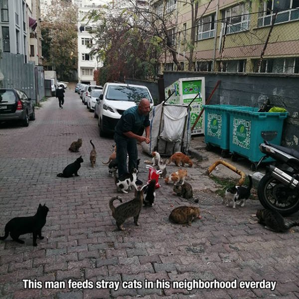 Pictures Full Of Warm Feelings (39 pics)