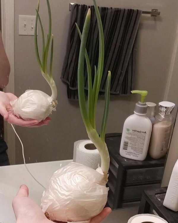 You Don't See It Every Day (22 pics)