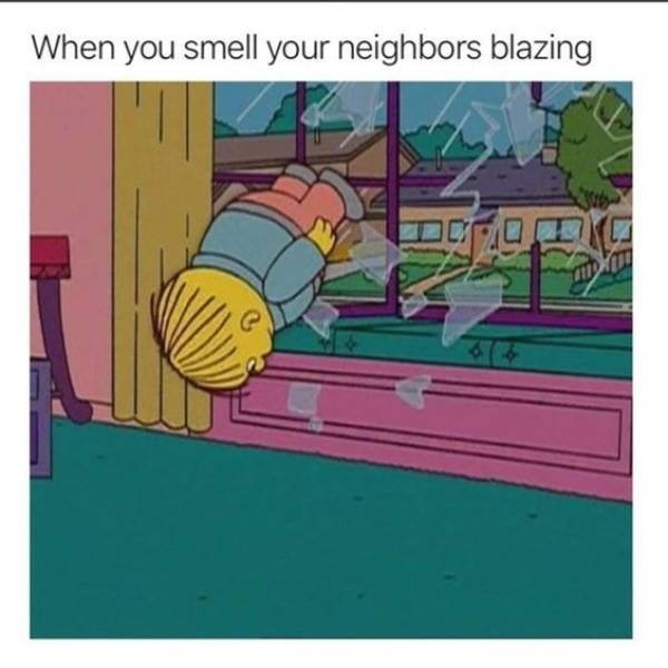When You're High Memes (27 pics)