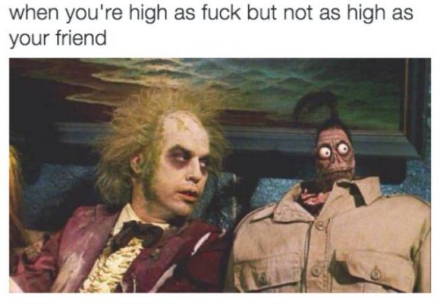 When You're High Memes (27 pics)