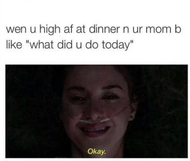 When You're High Memes (27 pics)