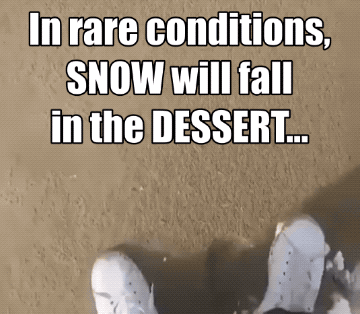 Random Wins & Fails (24 gifs)