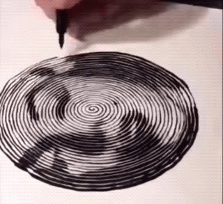 Random Wins & Fails (24 gifs)