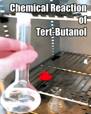 Random Wins & Fails (24 gifs)