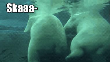Random Wins & Fails (24 gifs)
