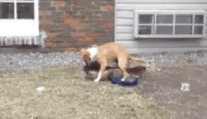 Random Wins & Fails (24 gifs)