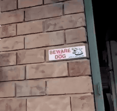 Random Wins & Fails (24 gifs)