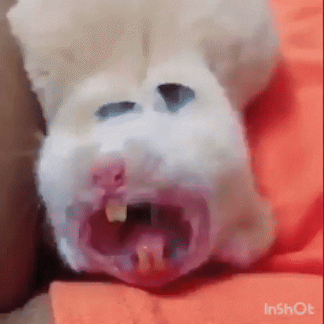 Acid Gifdump, November 26 (25 gifs)