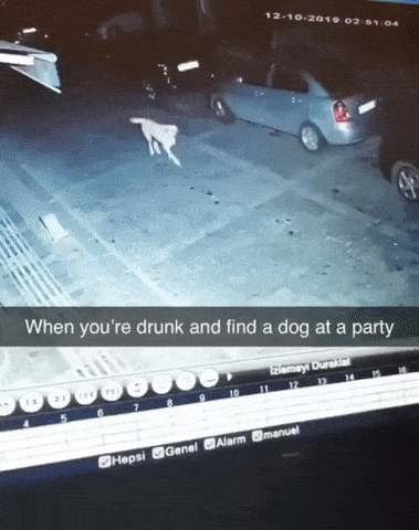 Acid Gifdump, November 26 (25 gifs)