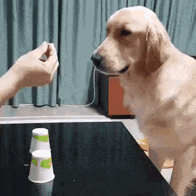Acid Gifdump, November 26 (25 gifs)