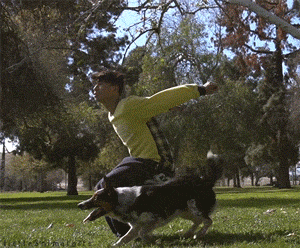 Acid Gifdump, November 26 (25 gifs)