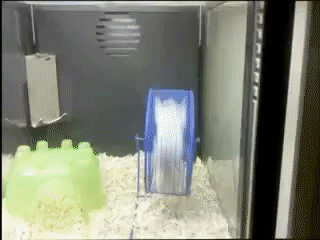 Acid Gifdump, November 26 (25 gifs)