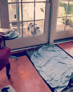 Acid Gifdump, November 26 (25 gifs)