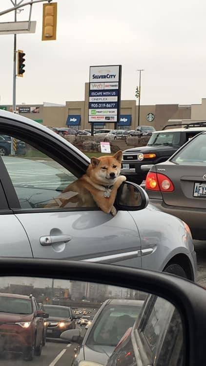 Acid Picdump. Part 2 (99 pics)