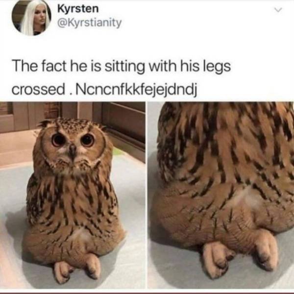 Acid Picdump. Part 2 (99 pics)