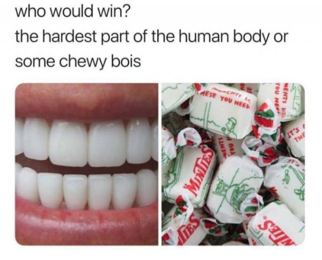 Aussie Food Memes (98 pics)