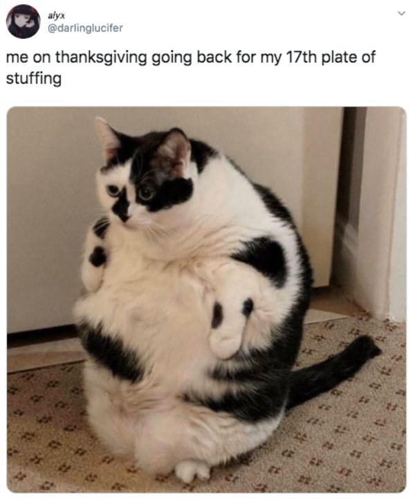 Thanksgiving Tweets (30 pics)