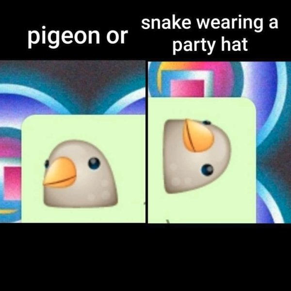 Snakes In Hats (28 pics)
