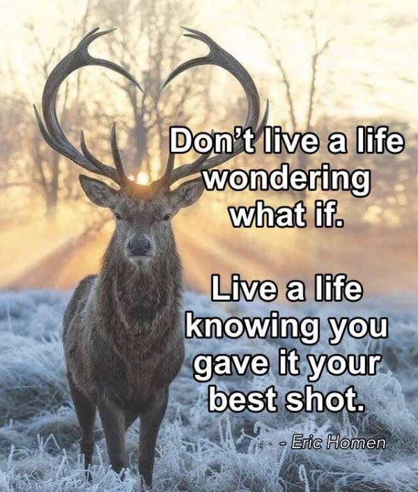 Quotes Full Of Wisdom And Motivation (25 pics)