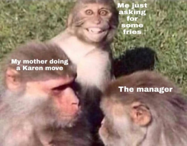 Karen & Manager Memes (33 pics)