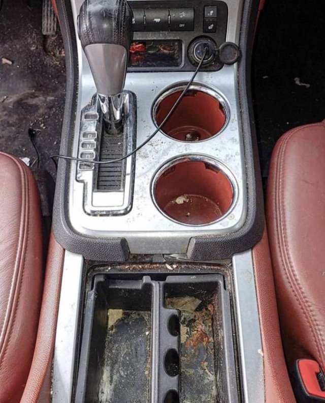 When Professionals Clean The Car (10 pics)