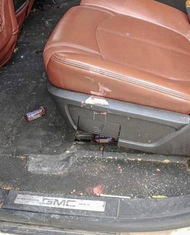 When Professionals Clean The Car (10 pics)