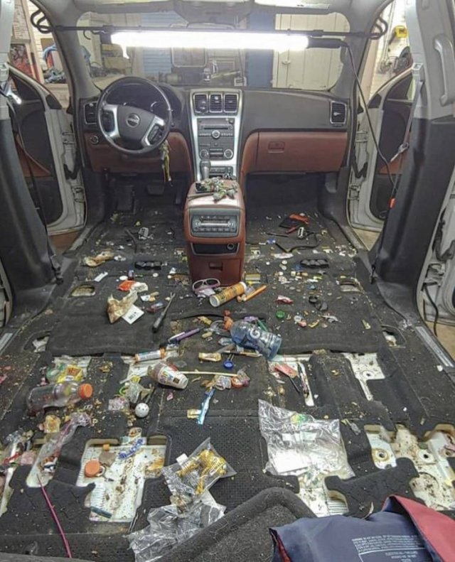 When Professionals Clean The Car (10 pics)